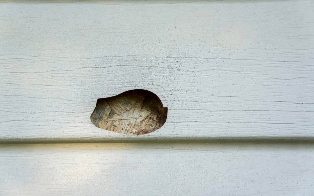 5 Signs It’s Time to Replace Your Siding