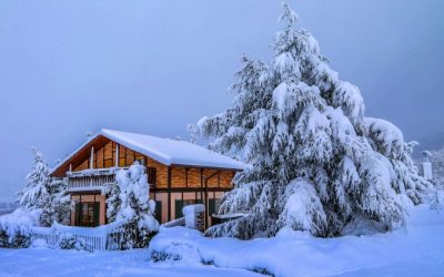 Winter Storm Playbook: What to Check After the First Blast